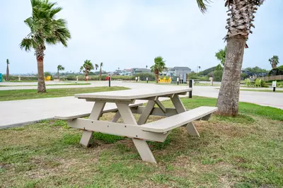 Premium Laguna Madre - 63