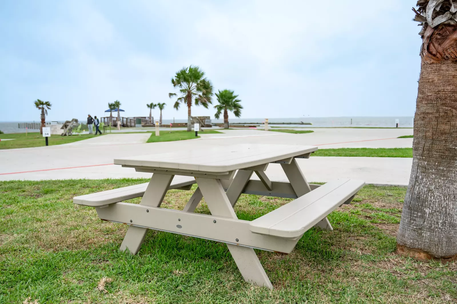 Premium Laguna Madre - 64