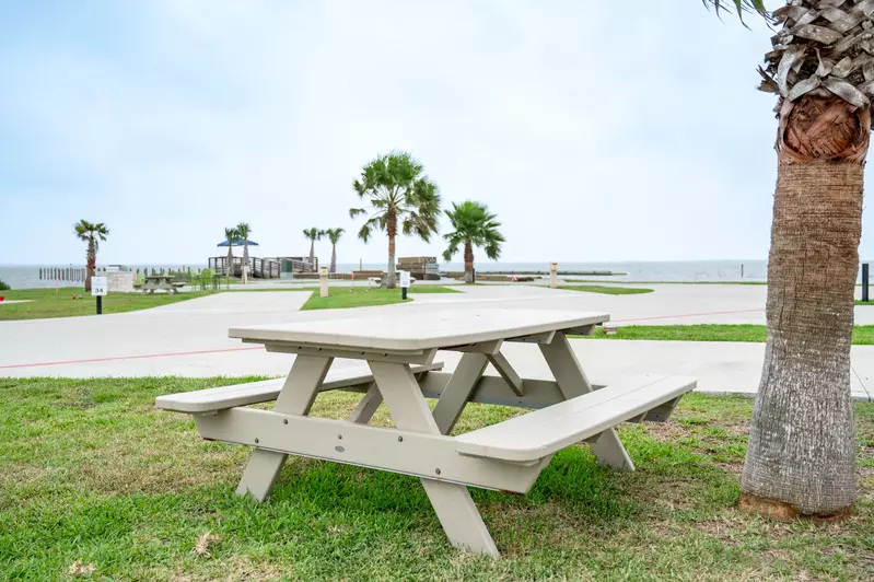 Premium Laguna Madre - 65