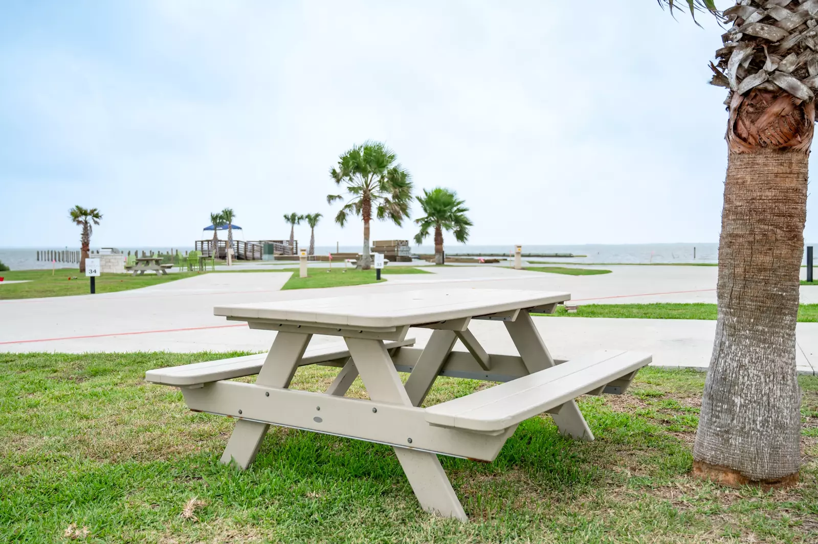 Premium Laguna Madre - 65